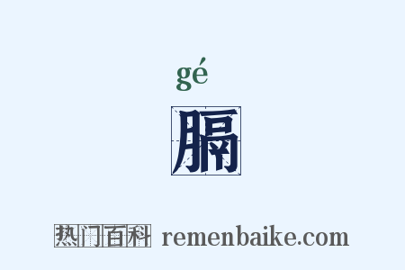 膈是什么意思的图片